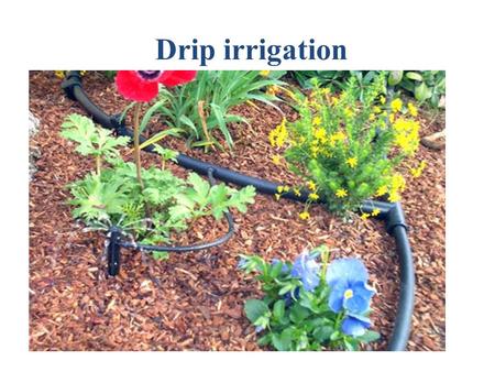 Drip irrigation. What is drip irrigation? Drip irrigation is a cost-effective and resource- efficient way of watering vegetation in a garden. Unlike sprinklers.