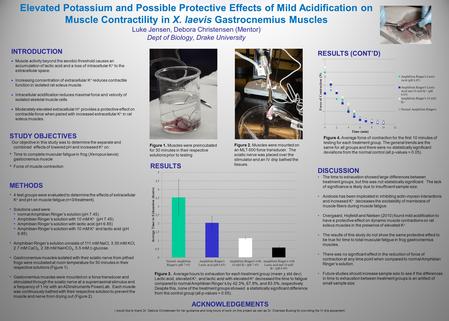 Elevated Potassium and Possible Protective Effects of Mild Acidification on Muscle Contractility in X. laevis Gastrocnemius Muscles Luke Jensen, Debora.