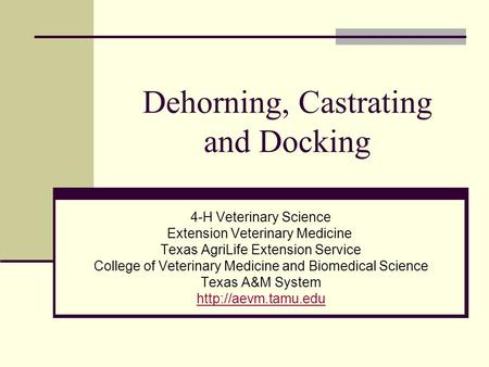 Dehorning, Castrating and Docking