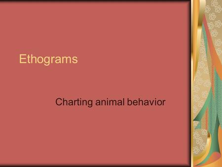 Ethograms Charting animal behavior. What is an ethogram? An ethogram is a catalog of an animal’s behavioral repetoire, detailing the different forms of.
