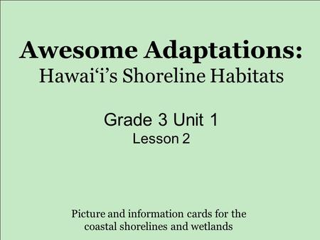 Awesome Adaptations: Hawai‘i’s Shoreline Habitats Grade 3 Unit 1 Lesson 2 Picture and information cards for the coastal shorelines and wetlands.