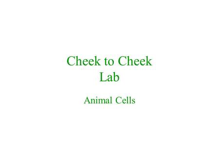 Cheek to Cheek Lab Animal Cells Making a Wet Mount Slide 1.Use dropper to place a drop of water on center of slide. 2.Take a toothpick and carefully.