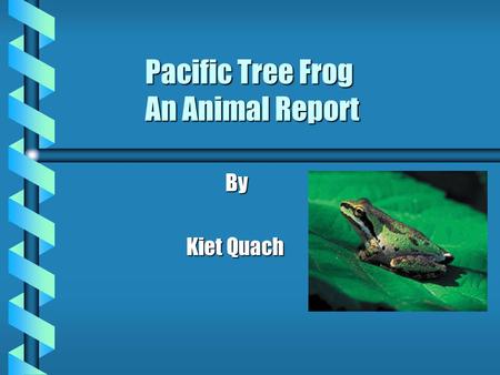 Pacific Tree Frog An Animal Report By Kiet Quach.