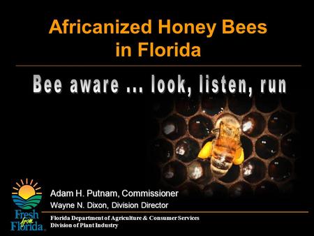Florida Department of Agriculture & Consumer Services Division of Plant Industry Africanized Honey Bees in Florida Adam H. Putnam, Commissioner Wayne N.