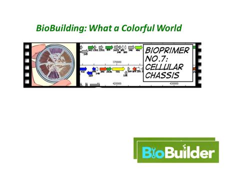 BioBuilding: What a Colorful World. An engineering paradigm Design Build Test The focus of this lab.