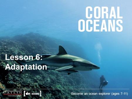 Lesson 6: Adaptation Become an ocean explorer (ages 7-11)