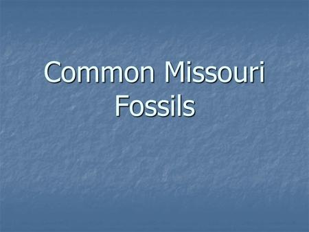 Common Missouri Fossils. Trilobites Trilobites are extinct sea creatures that were one of the first forms of life on earth. They ruled the world before.