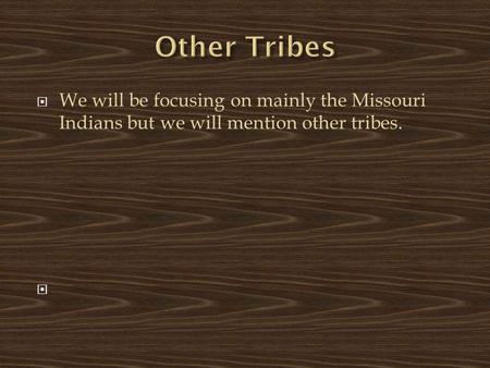 Other Tribes We will be focusing on mainly the Missouri Indians but we will mention other tribes.
