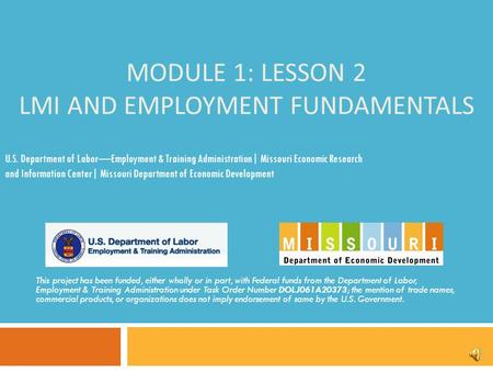 MODULE 1: LESSON 2 LMI AND EMPLOYMENT FUNDAMENTALS This project has been funded, either wholly or in part, with Federal funds from the Department of Labor,