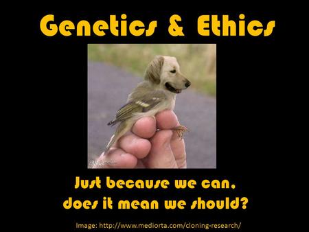Image: http://www.mediorta.com/cloning-research/ Genetics & Ethics Just because we can, does it mean we should? Image: http://www.mediorta.com/cloning-research/