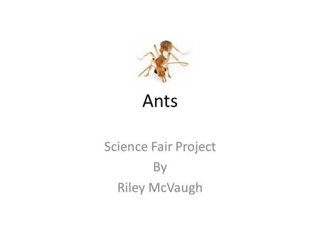 Science Fair Project By Riley McVaugh