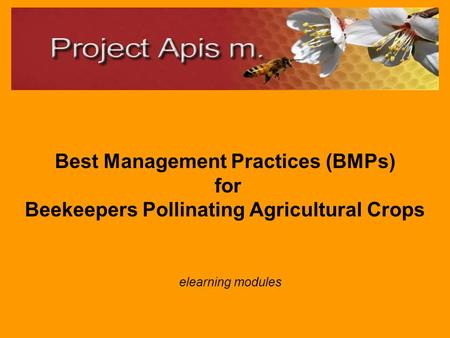 Best Management Practices (BMPs) for Beekeepers Pollinating Agricultural Crops elearning modules.