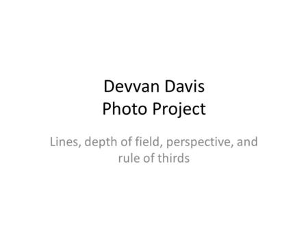 Devvan Davis Photo Project Lines, depth of field, perspective, and rule of thirds.