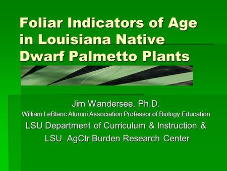 Foliar Indicators of Age in Louisiana Native Dwarf Palmetto Plants