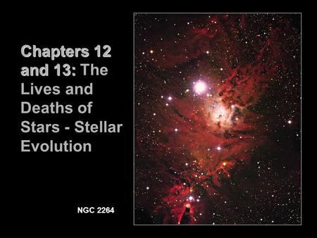 Chapters 12 and 13: Chapters 12 and 13: The Lives and Deaths of Stars - Stellar Evolution NGC 2264.