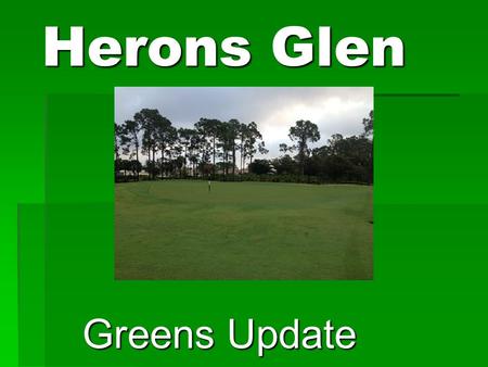 Herons Glen Greens Update. History  Typical life span of a green in South Florida with Ultra dwarf Bermudagrass is 10 – 15 years.  Herons Glens Greens.