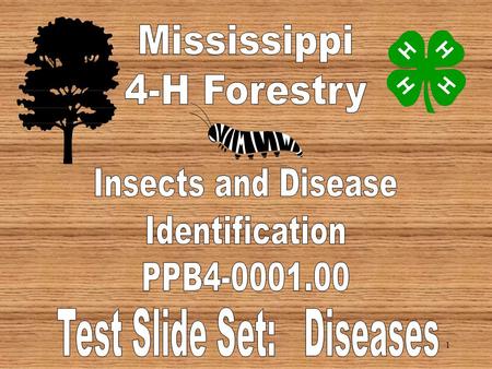 1 2 3 4 5 Oak Wilt (OW) White Pine Blister Rust (WPBR) Fusiform Rust )FR) Chestnut Blight (CB) The above pictures are examples of what type of disease: