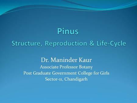 Pinus Structure, Reproduction & Life-Cycle