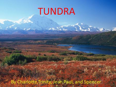 TUNDRA By Charlotte,Trinity, Jean Paul, and Spencer.