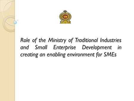 Role of the Ministry of Traditional Industries and Small Enterprise Development in creating an enabling environment for SMEs.