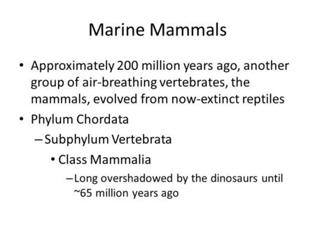 Marine Mammals Approximately 200 million years ago, another group of air-breathing vertebrates, the mammals, evolved from now-extinct reptiles Phylum Chordata.