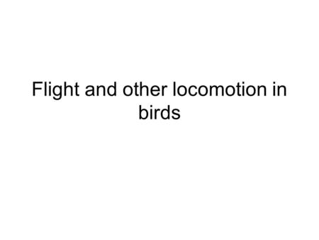 Flight and other locomotion in birds. Lift of a wing Bernoulli effect – pressure is inversely related to number of particles moving in a single direction.