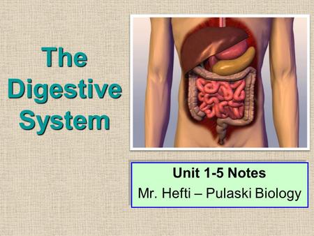 The Digestive System Unit 1-5 Notes Mr. Hefti – Pulaski Biology Unit 1-5 Notes Mr. Hefti – Pulaski Biology.