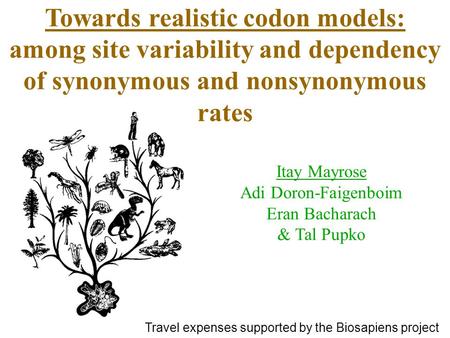Towards realistic codon models: among site variability and dependency of synonymous and nonsynonymous rates Itay Mayrose Adi Doron-Faigenboim Eran Bacharach.