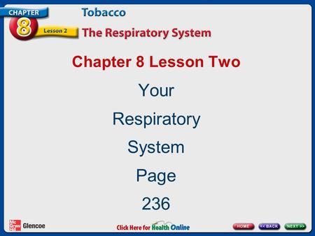 Your Respiratory System Page 236