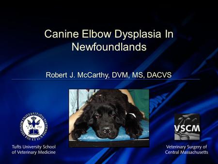 Advances in External Skeletal Fixation Canine Elbow Dysplasia In Newfoundlands Robert J. McCarthy, DVM, MS, DACVS.