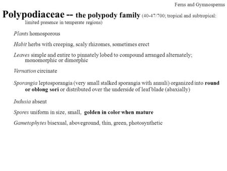 Polypodiaceae -- the polypody family (40-47/700; tropical and subtropical: limited presence in temperate regions) Plants homosporous Habit herbs with creeping,