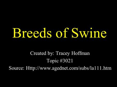 Breeds of Swine Created by: Tracey Hoffman Topic #3021