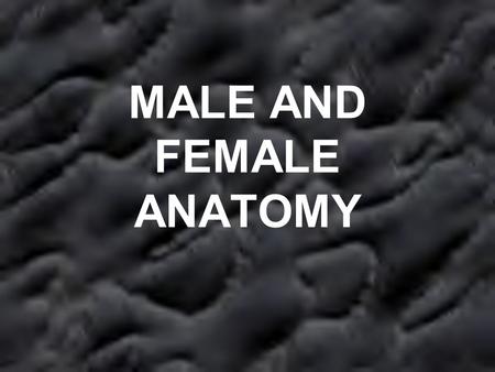 MALE AND FEMALE ANATOMY