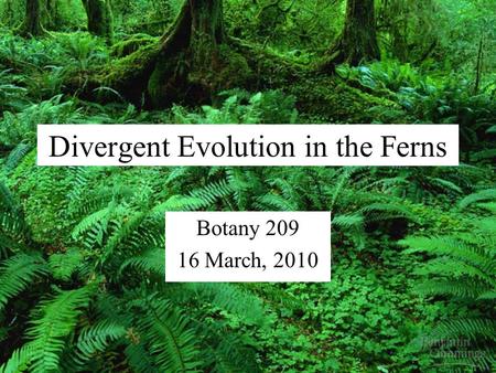 Divergent Evolution in the Ferns Botany 209 16 March, 2010.