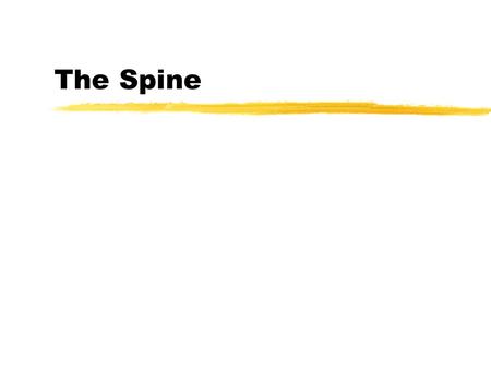 The Spine. Forces during Lifting What type of forces? zCompressive zShear.