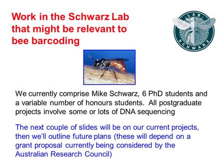 Work in the Schwarz Lab that might be relevant to bee barcoding We currently comprise Mike Schwarz, 6 PhD students and a variable number of honours students.