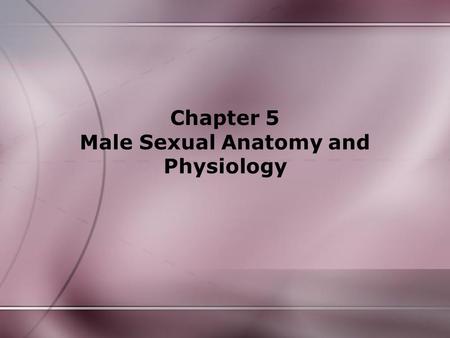 Chapter 5 Male Sexual Anatomy and Physiology
