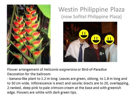 Westin Philippine Plaza (now Sofitel Philippine Plaza) Flower arrangement of Heliconia wagnerana or Bird-of-Paradise Decoration for the ballroom - banana-like.