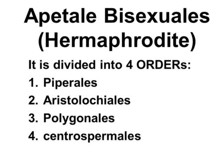 Apetale Bisexuales (Hermaphrodite)