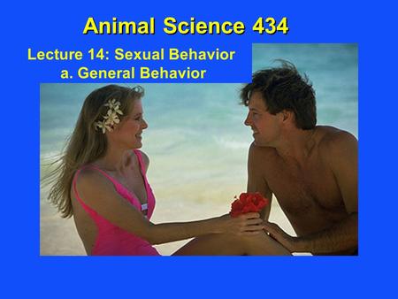 Lecture 14: Sexual Behavior a. General Behavior