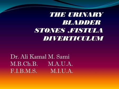 THE URINARY BLADDER STONES,FISTULA DIVERTICULUM Dr. Ali Kamal M. Sami M.B.Ch.B. M.A.U.A. F.I.B.M.S. M.I.U.A.