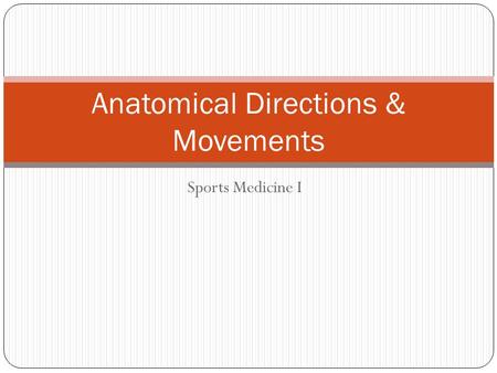 Anatomical Directions & Movements
