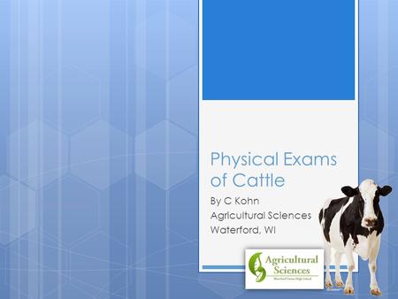 Physical Exams of Cattle By C Kohn Agricultural Sciences Waterford, WI.