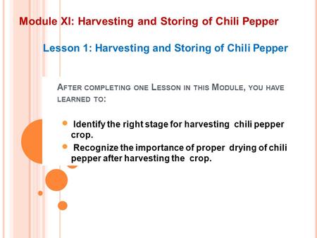 Module XI: Harvesting and Storing of Chili Pepper Lesson 1: Harvesting and Storing of Chili Pepper A FTER COMPLETING ONE L ESSON IN THIS M ODULE, YOU HAVE.