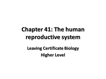 Chapter 41: The human reproductive system