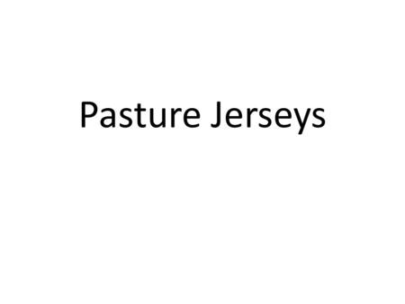 Pasture Jerseys. Experience with Jersey cows from 1965/66 at the age of 6 years old My father milked 15-20 Jersey cows once a day by hand from natural.
