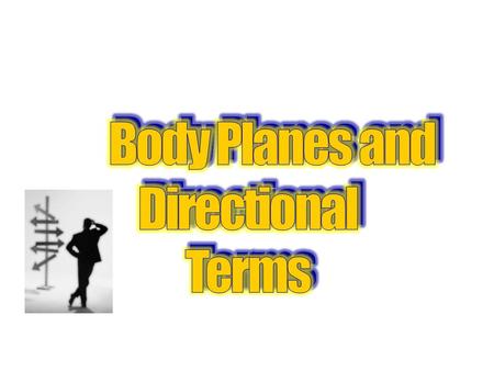 Body Planes and Directional Terms