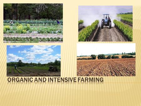 Organic and Intensive Farming
