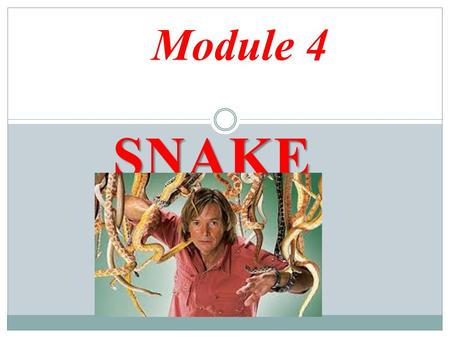 SNAKE MAN Module 4. Warm-up 1-Look at the key words and decide which people have to travel a lot Key words : Jobs Key words : Jobs.