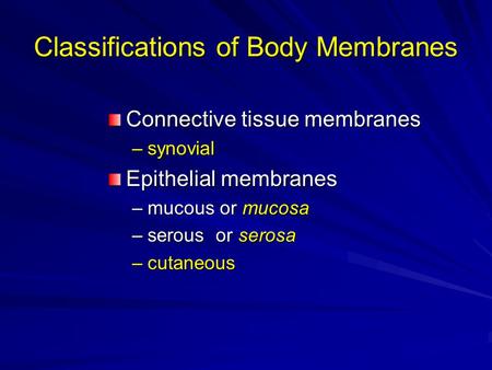 Classifications of Body Membranes Connective tissue membranes –synovial Epithelial membranes –mucous or mucosa –serous or serosa –cutaneous.